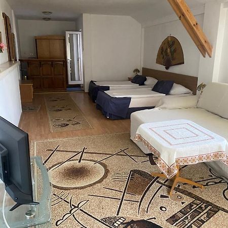 Family Hotel Zdravets Sofia Bagian luar foto