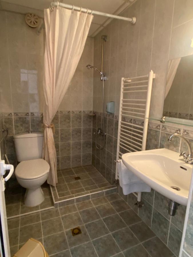 Family Hotel Zdravets Sofia Bagian luar foto