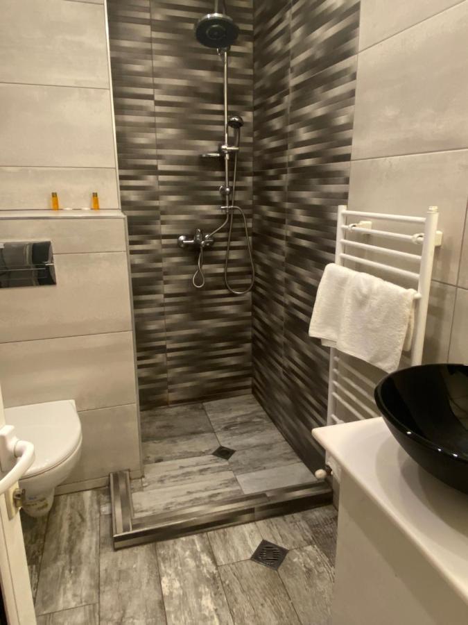 Family Hotel Zdravets Sofia Bagian luar foto